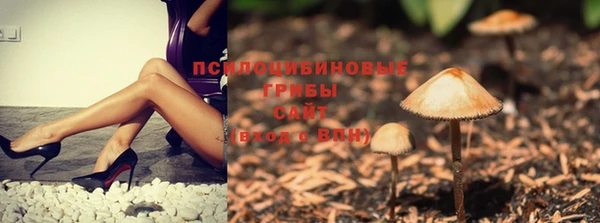 2c-b Баксан