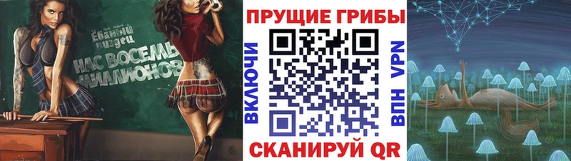 Галлюциногенные грибы мицелий кракен как войти Кириши купить закладку